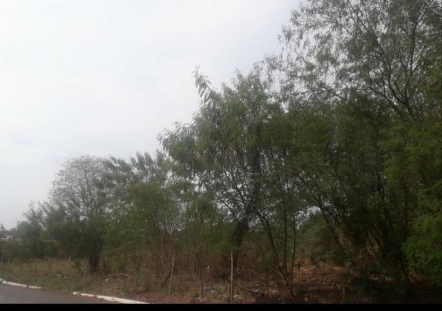Vendo terreno de 1.000 m² no bairro Mapim - Várzea Grande - Foto 2