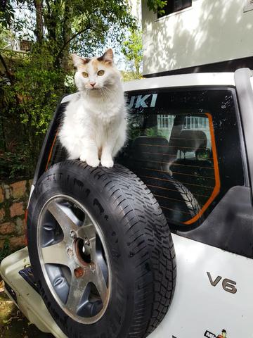 Vitara 97/98 - V6 2.0 - Foto 2