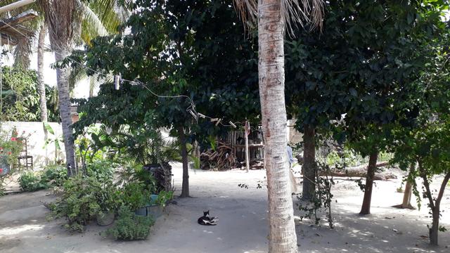 Vendo esta casa - Foto 3