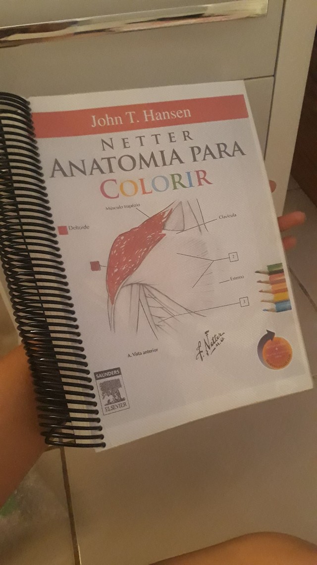 Anatomia Para Colorir | +41 Anúncios Na OLX Brasil