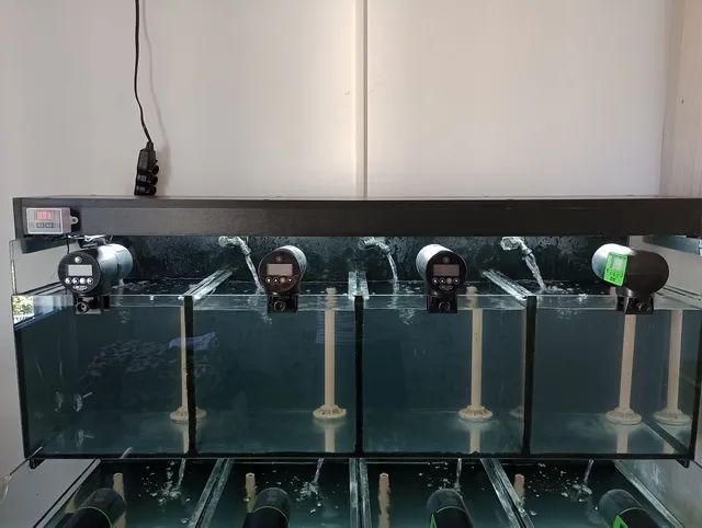 Bateria para criação de peixes ornamentais. (Retirar no local). - Foto 3