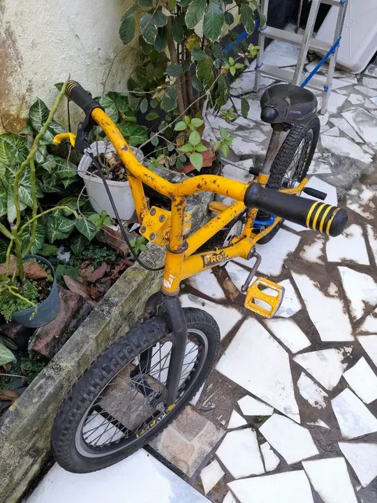 bicicleta pro x