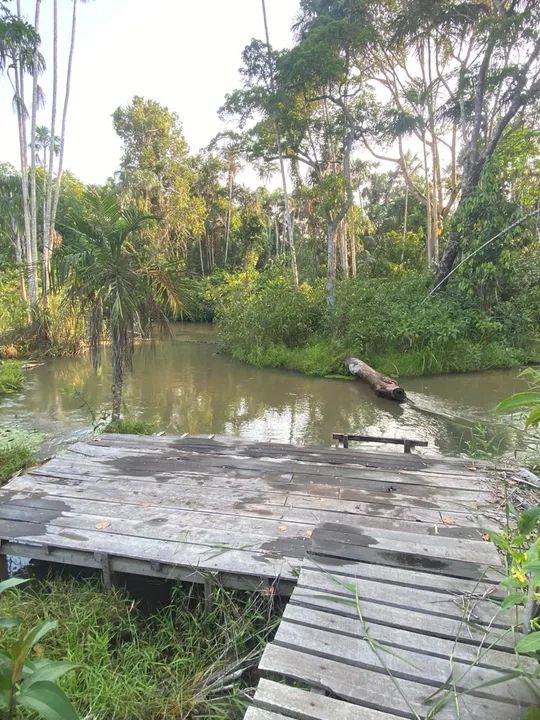 foto - Santarém - Interventoria