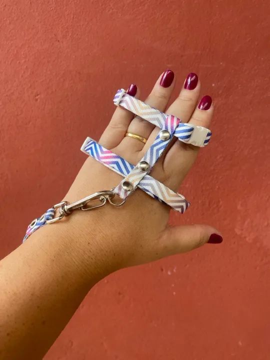 Coleira para animais Pequenos - Chevron Colorido - Foto 2