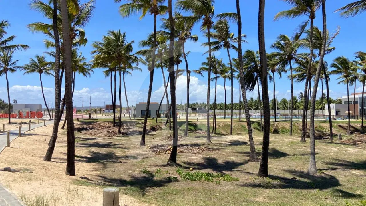 Lote à Venda no Condomínio Villaredo Barra Residence - Foto 3