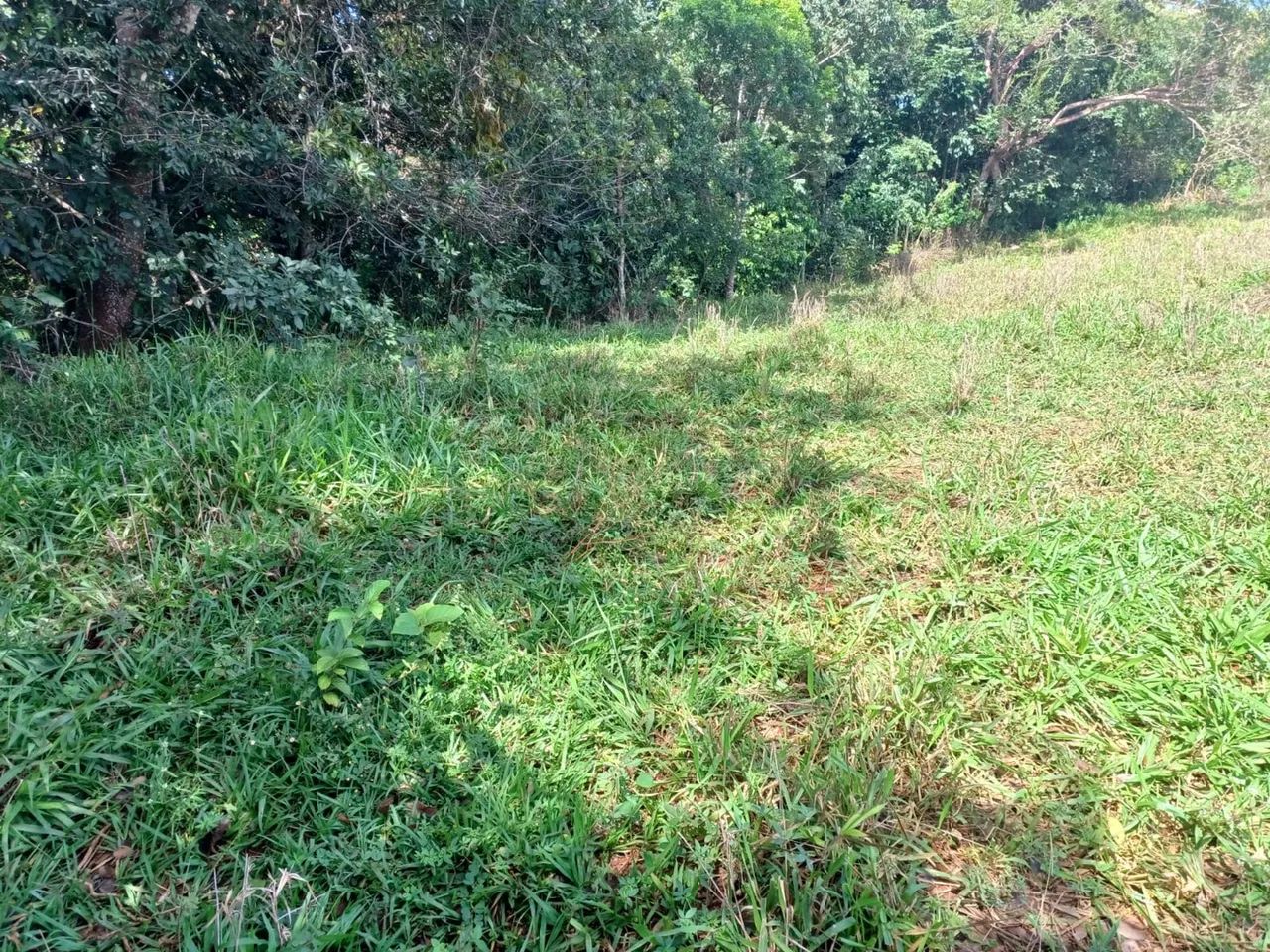 Chácara em gameleira de goias 10.000 metros - Foto 3