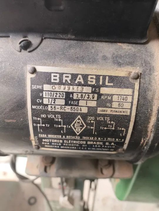 Grampeador miruna - Foto 4