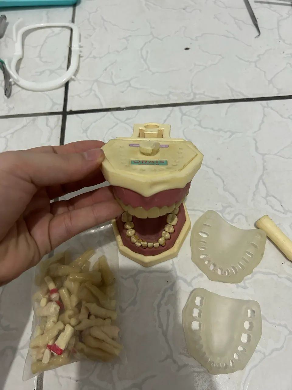 Manequim odontológico  - Foto 6