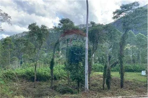 Terreno a venda, com projeto de 4 casas, por 398.000,00, Parque São Clemente - Nova Fribur - Foto 3