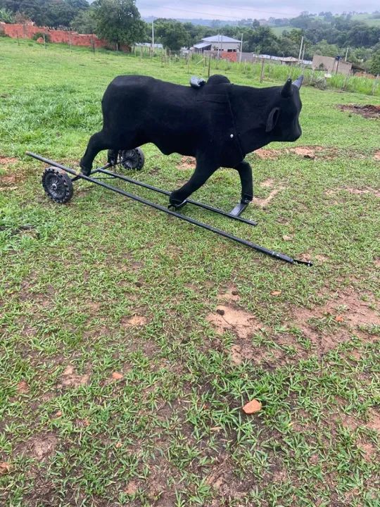 Vaquinha Mecânico - Foto 5