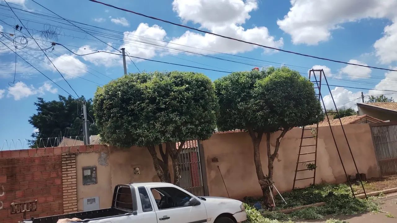 Corte de Árvores, Poda, Palmeiras,e Limpeza de Terreno 