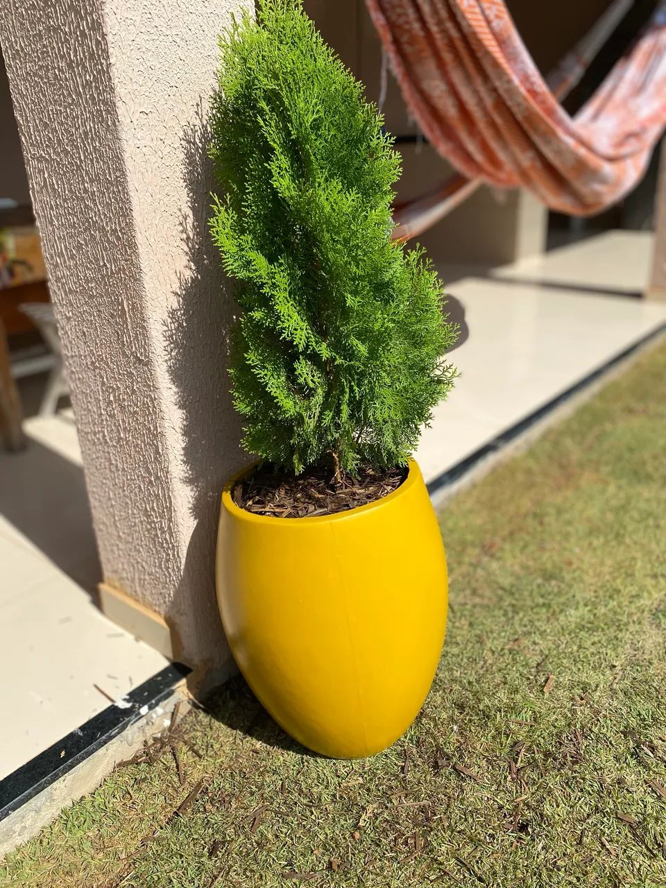 Jarro decorativo  - Foto 4