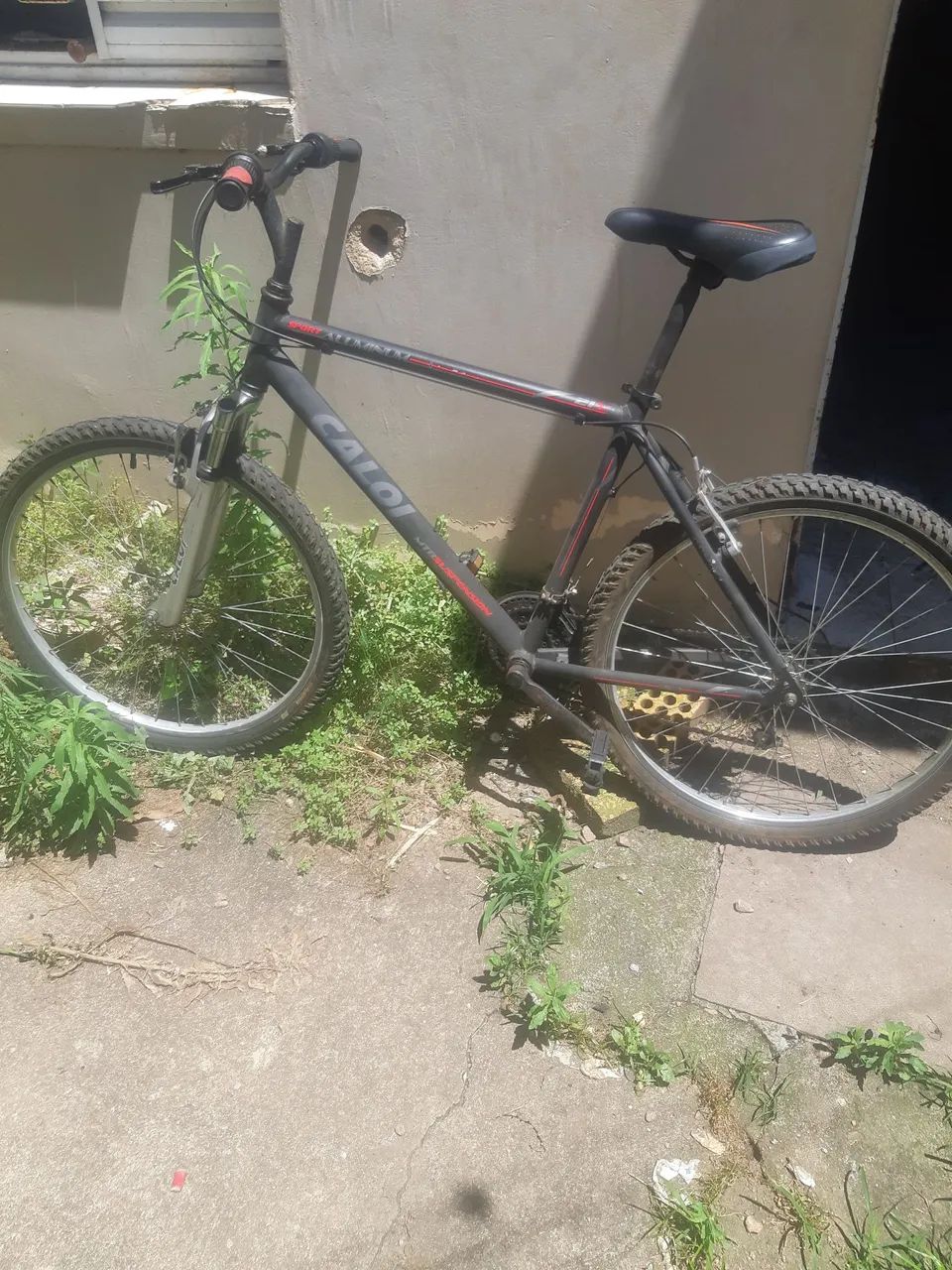 Bicycle64314894702978120