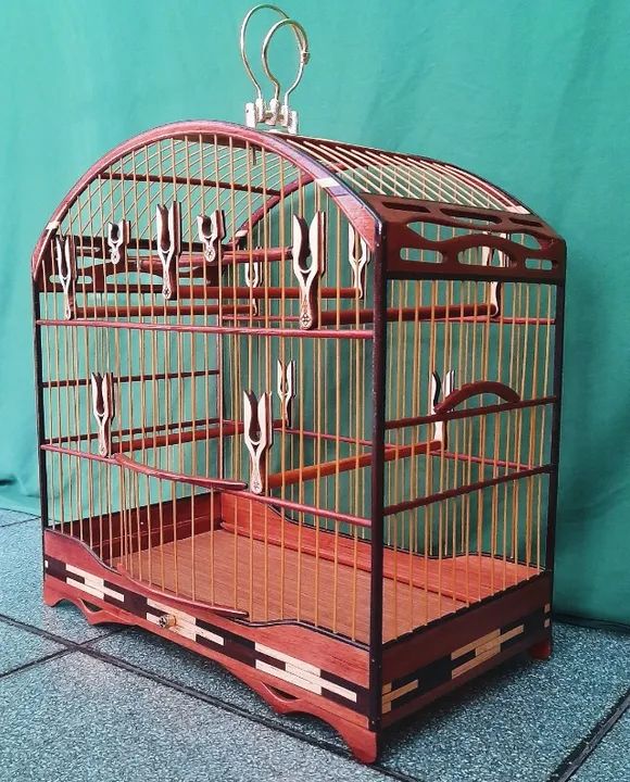 Gaiola Torneio  - Foto 3