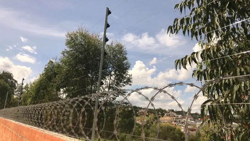 Concertina Galvanizada Ultimas Unidades - Foto 3