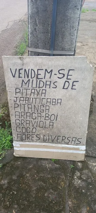 vende-se muda Tudo Baratinho