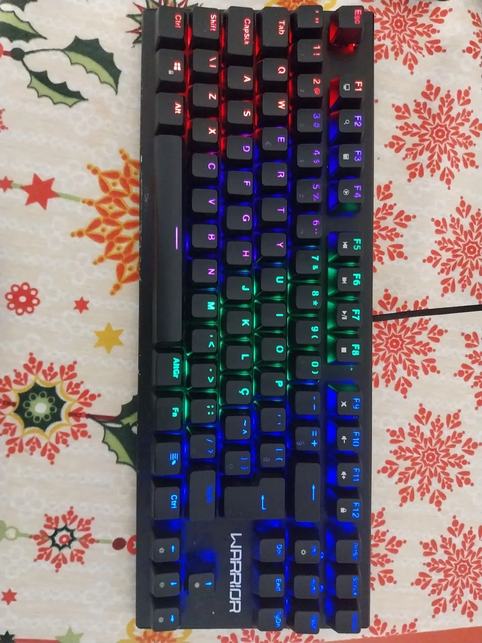 Teclado Gamer Warrior TERO LED