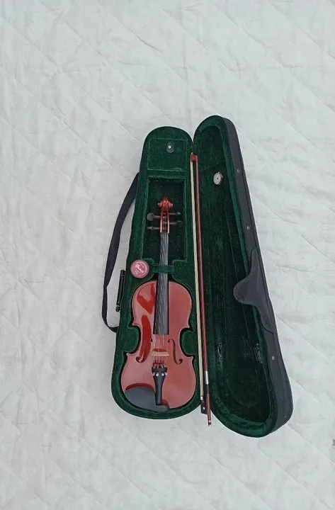 Violino Michael 4/4 + Case