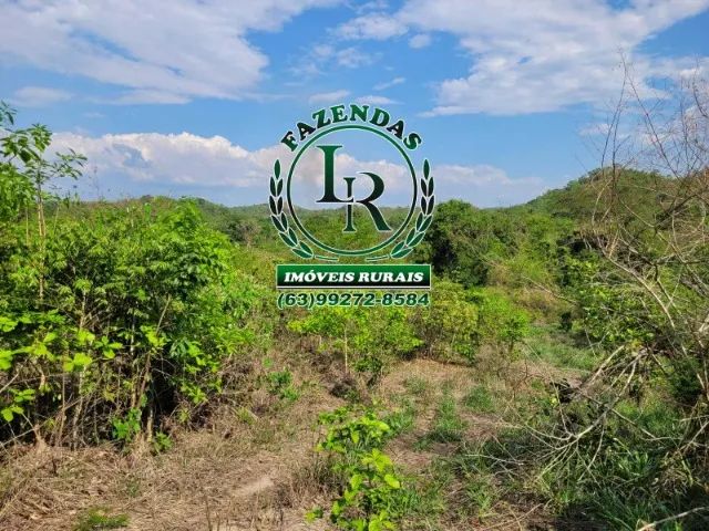 Fazenda Dupla Aptidão Tocantins - Foto 3