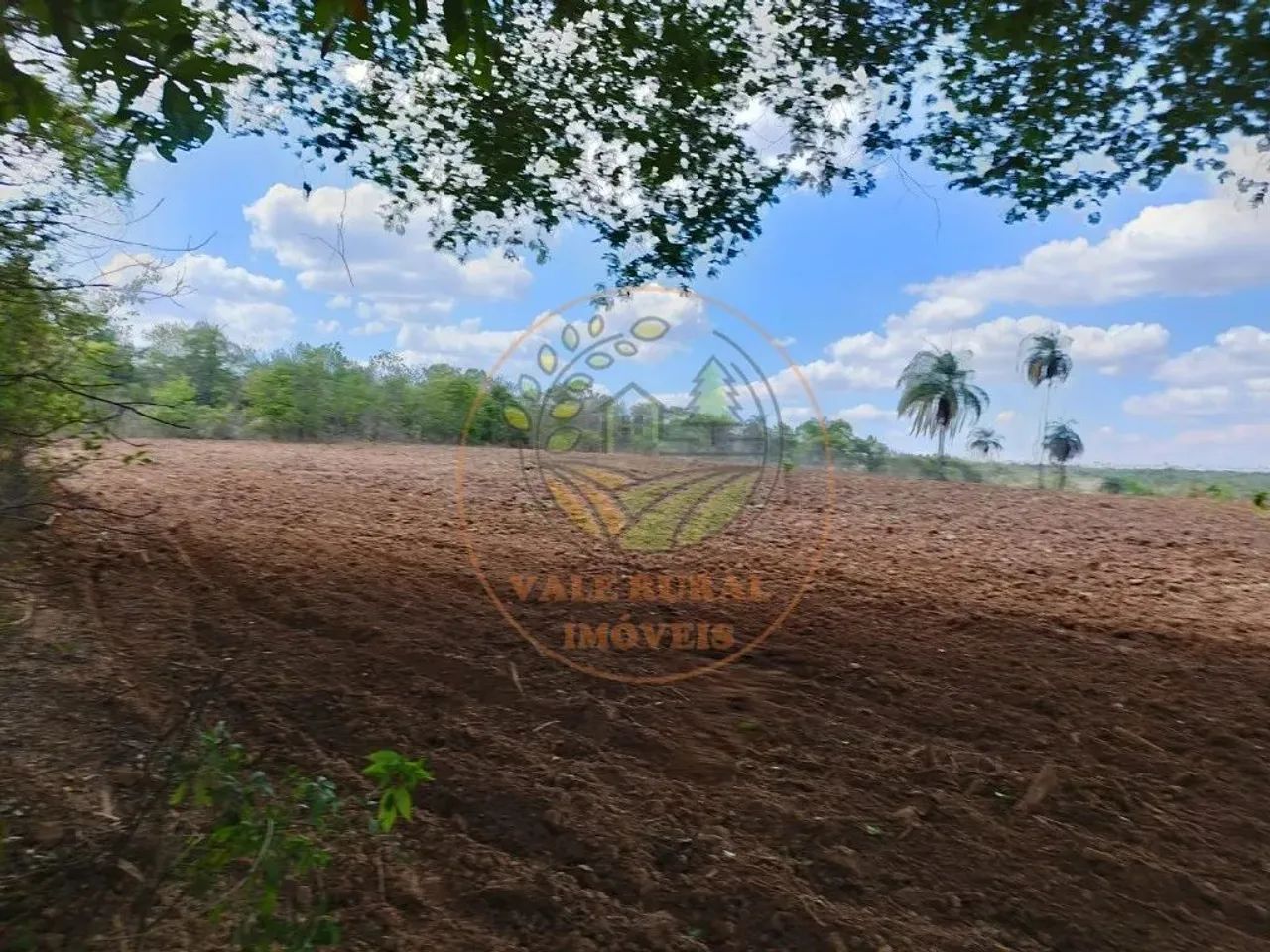 EXCELENTE FAZENDA de 720 HECTARES EM SÃO GONÇALO DE ABAETÉ- MG FA00171 - Foto 5
