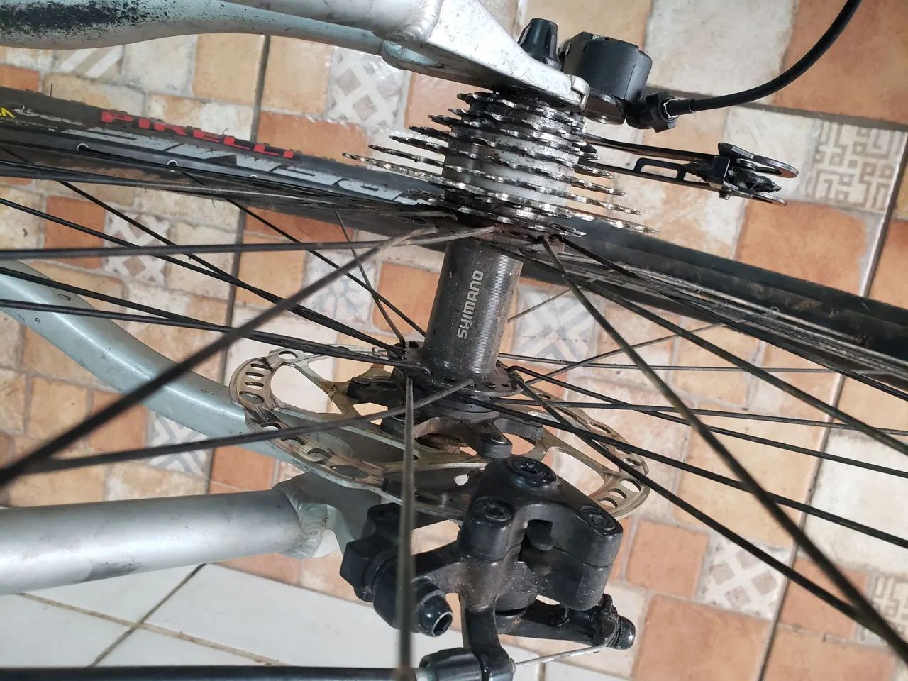 Ein Bild von 5 Gringo Casino