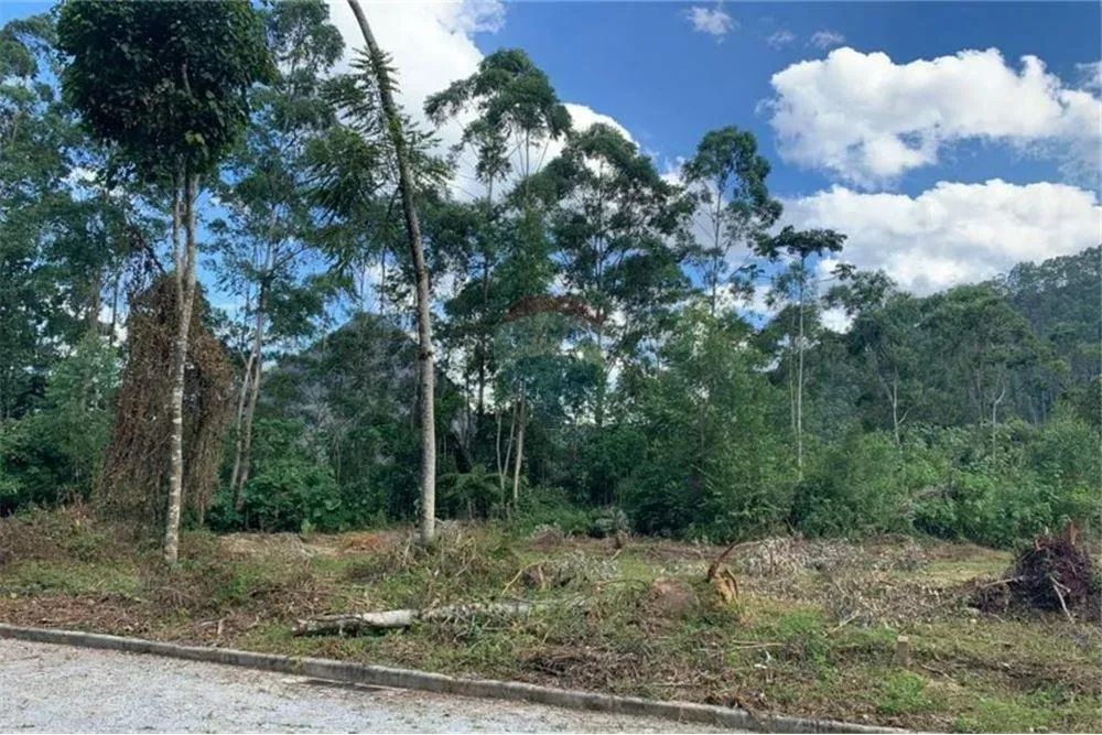 Terreno a venda, com projeto de 4 casas, por 398.000,00, Parque São Clemente - Nova Fribur - Foto 2
