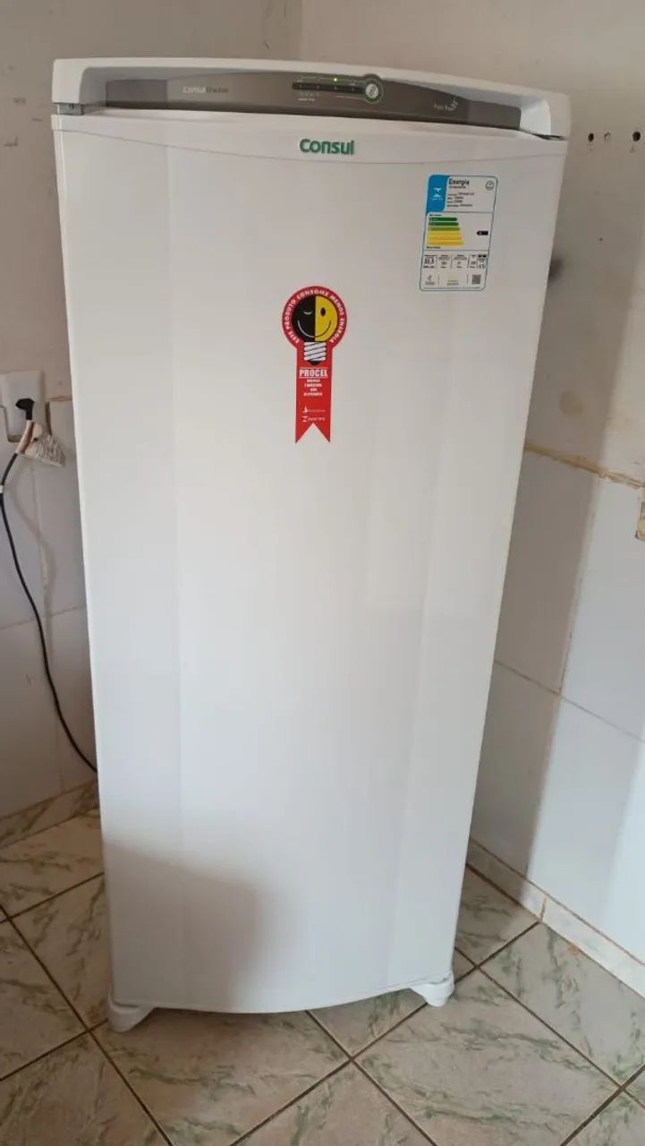 Geladeira consul frost free 