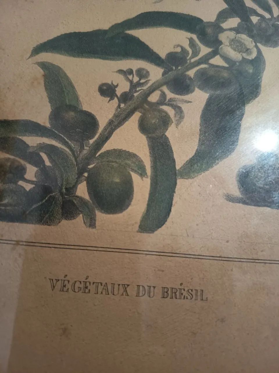 Quadro vintage  - Foto 4