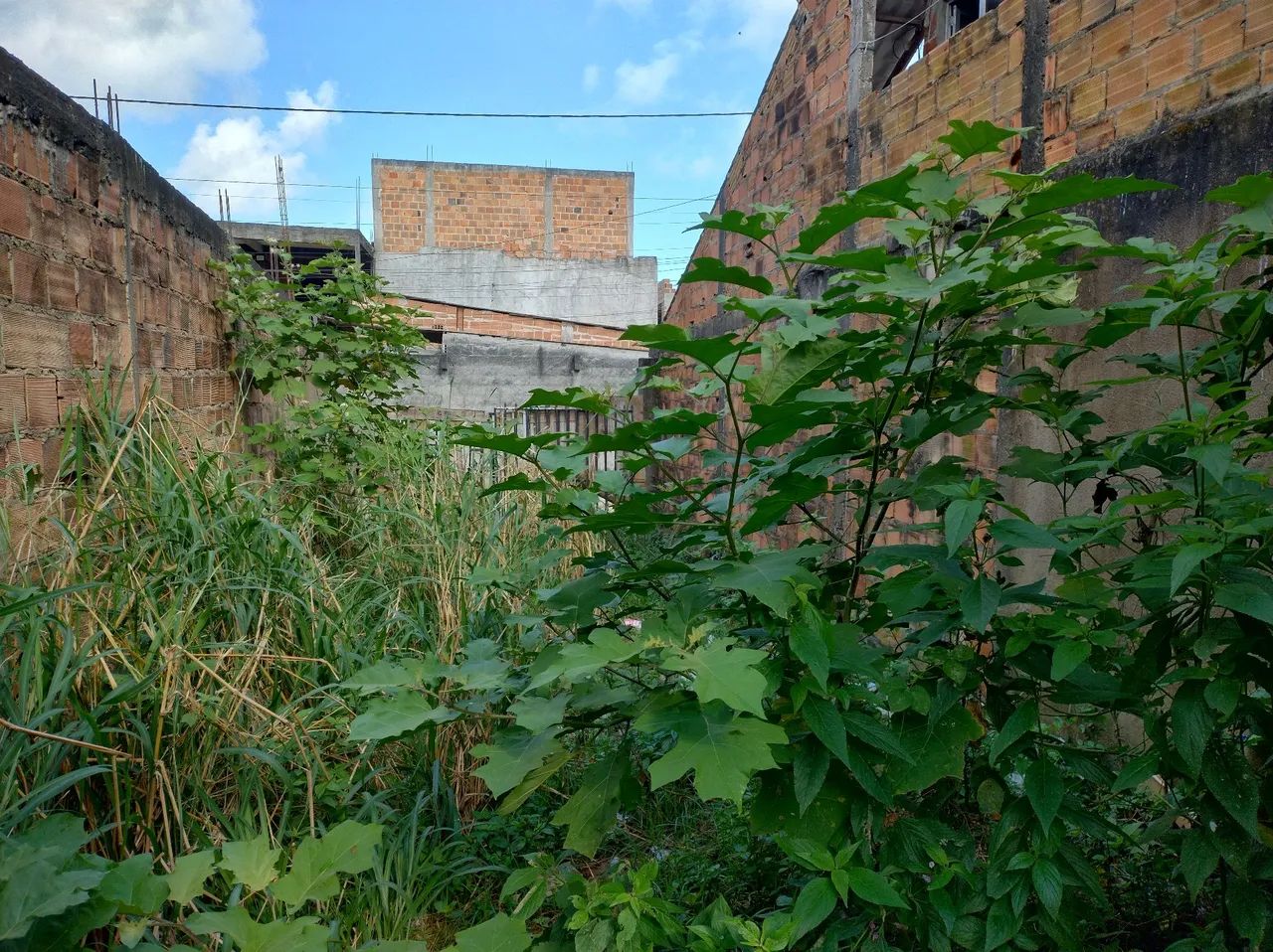 Casa / Terreno em ponto de laje - Periperi - Foto 4