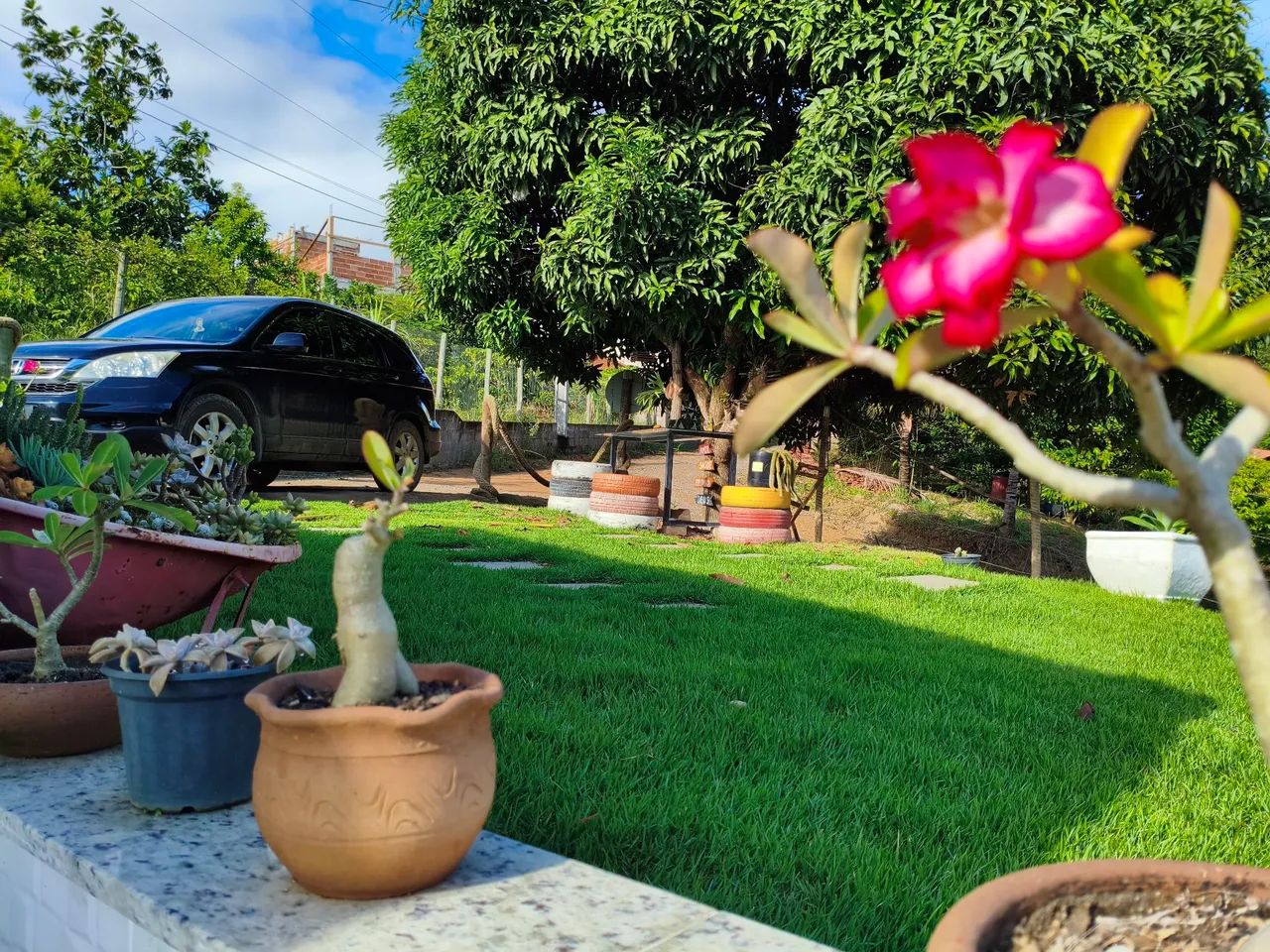 Chácara  - Foto 5