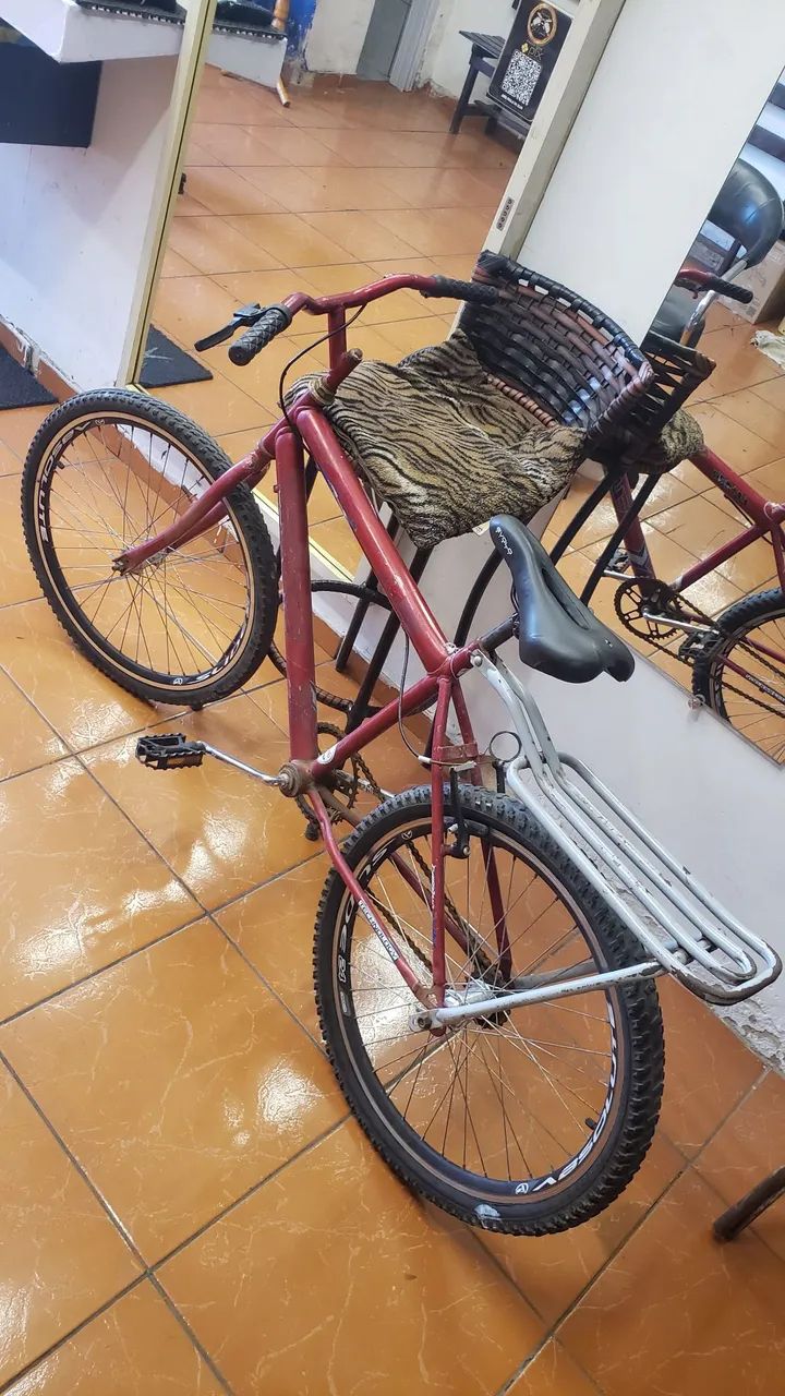 Bicicleta Aro 24