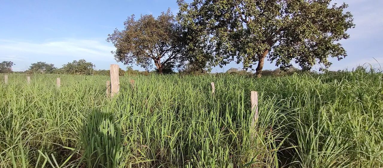 Vende se chácara Divinópolis to