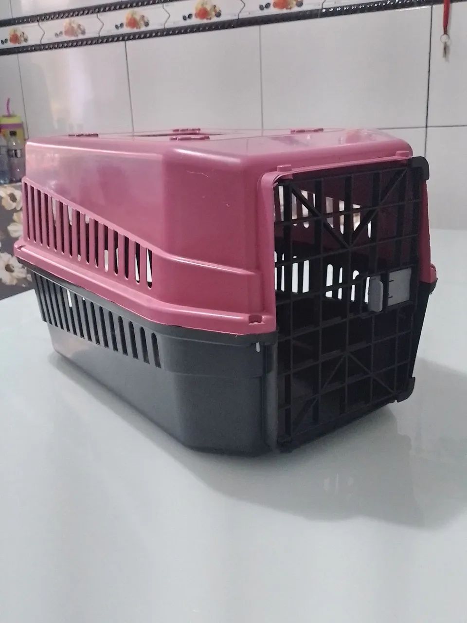 caixa de transporte pet