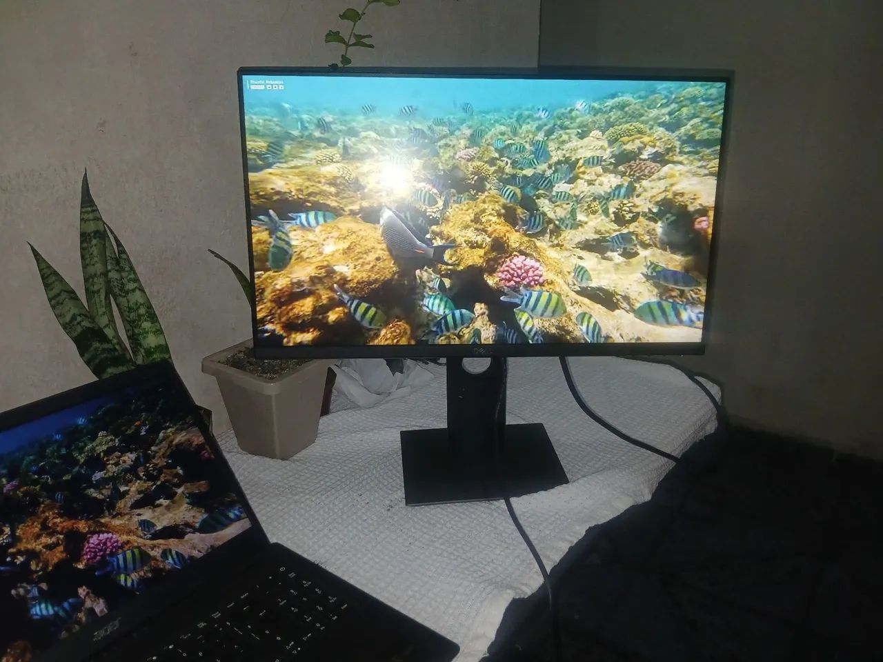 Monitor Dell Profissional P2319h  - Foto 4