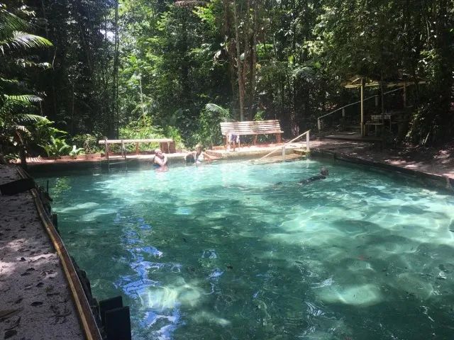Sitio localizado no Município de Benevides - Foto 3