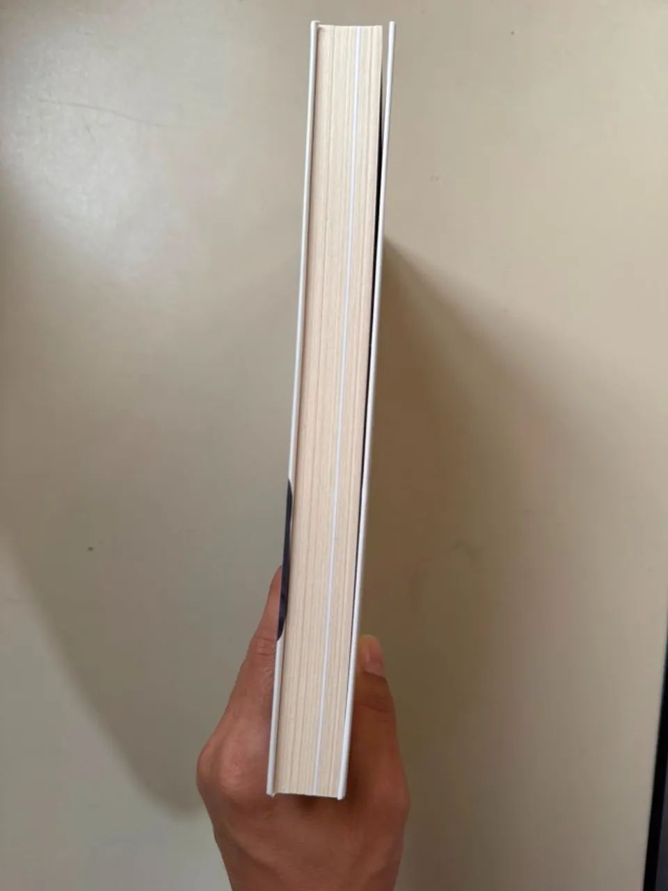Livro Sonho Grance - Foto 5
