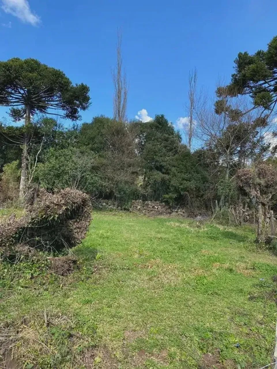 LOTE EM URUPEMA À VENDA