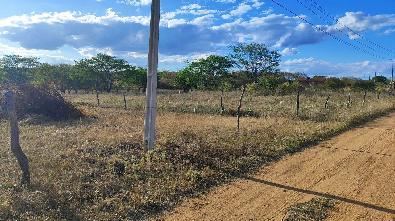 Terreno para uma bela chácara  - Foto 5