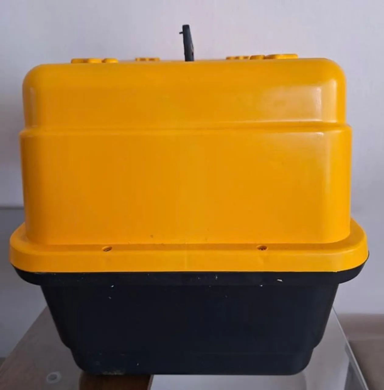 Transporte para seu Pet  - Foto 4