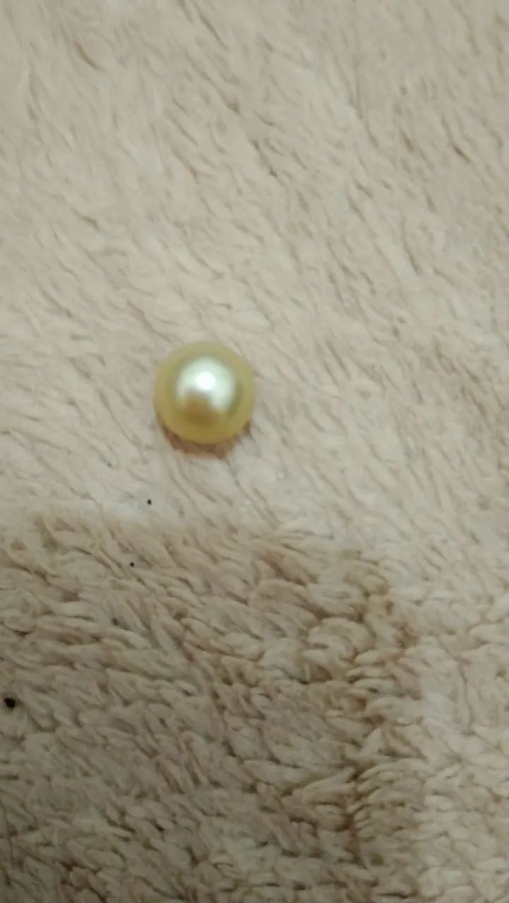 Vendo pérola original de água salgada  - Foto 3