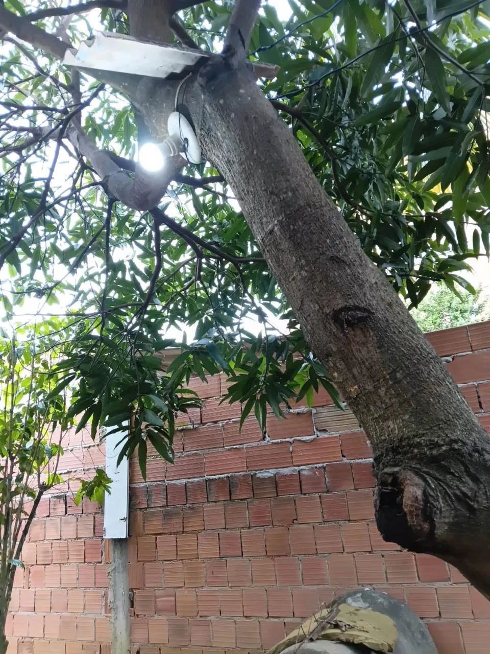 Vendo casa em Planalto Serrano - Serra - Foto 5