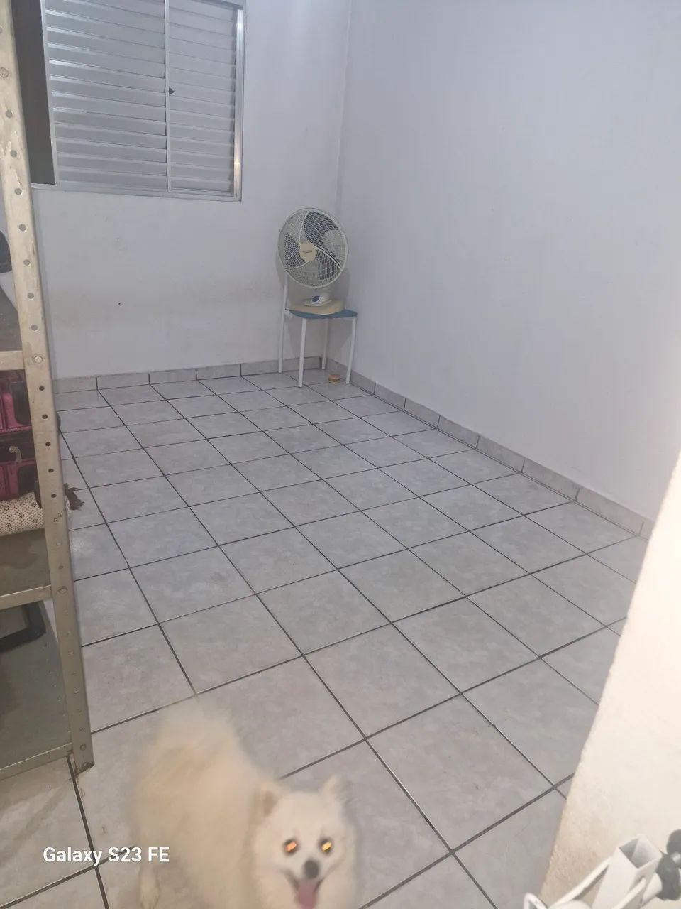 Vende  - Foto 4