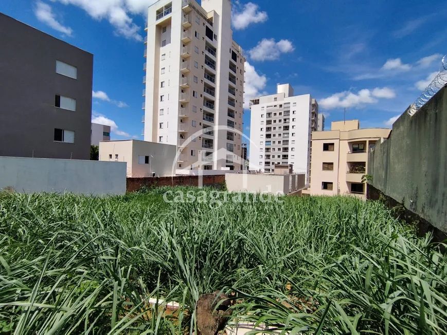 Venda Terreno PATRIMONIO - Foto 4