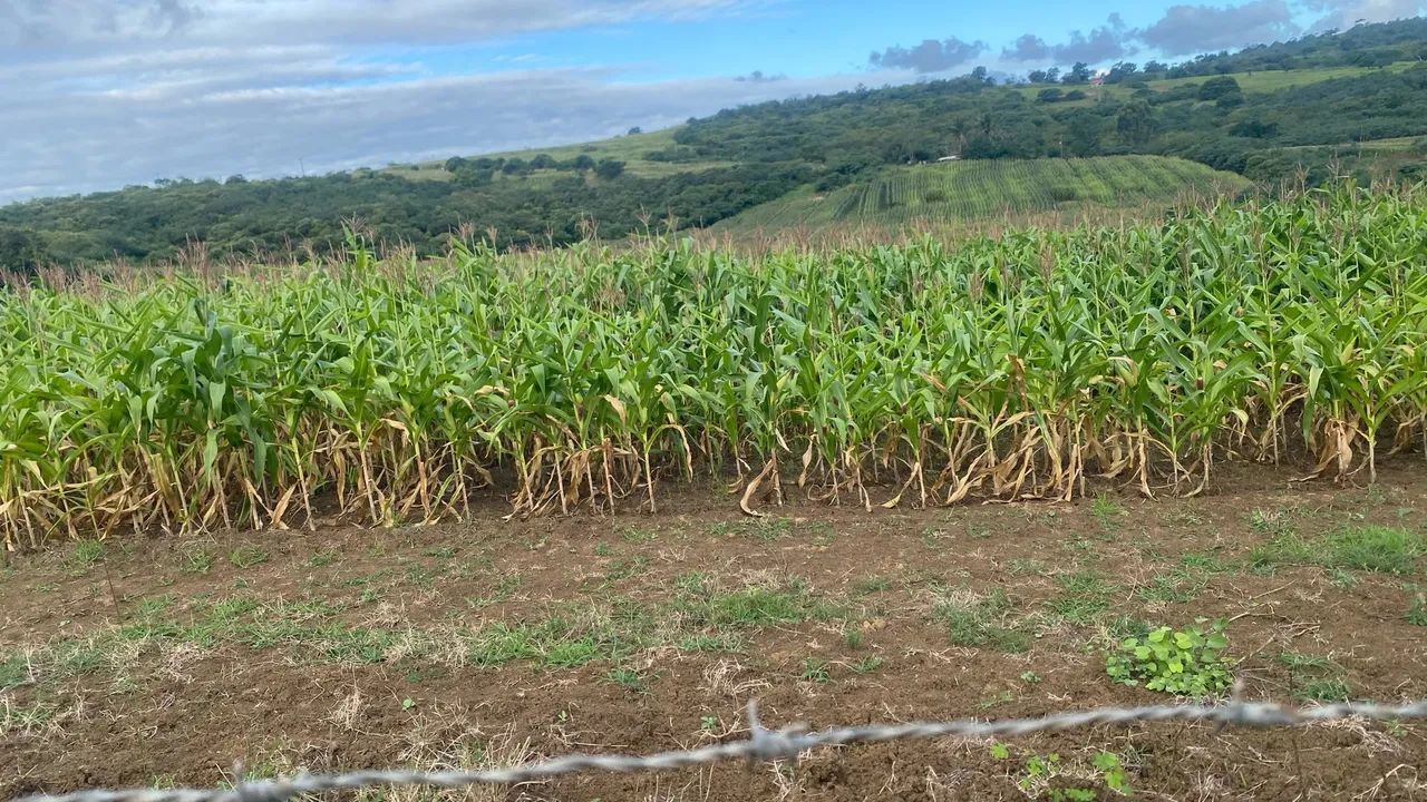 Terreno à venda - Japoatã/SE