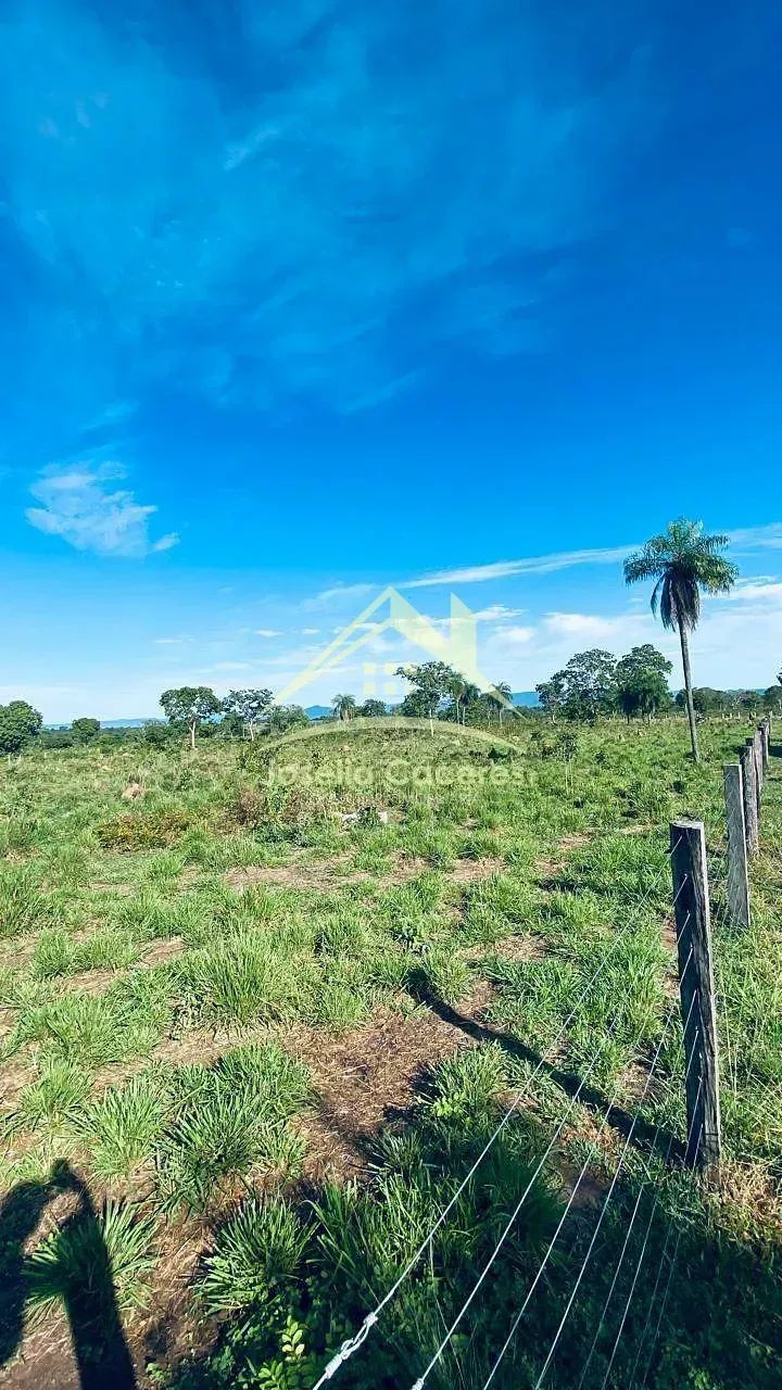 SÍTIO À VENDA  25 HECTARES | A 120 KM DE CUIABÁ/MT - Foto 5