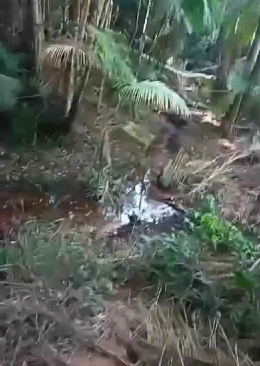 Chácara com água perto do asfalto  - Foto 3
