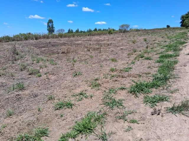 Sítio com 23.500m² Região Mogi Mirim - Foto 2
