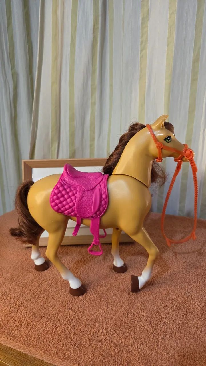 Barbie Cavalo - Foto 4
