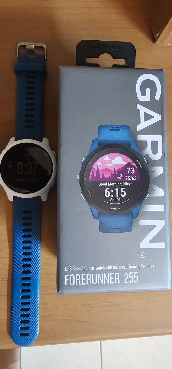 Garmin 255 