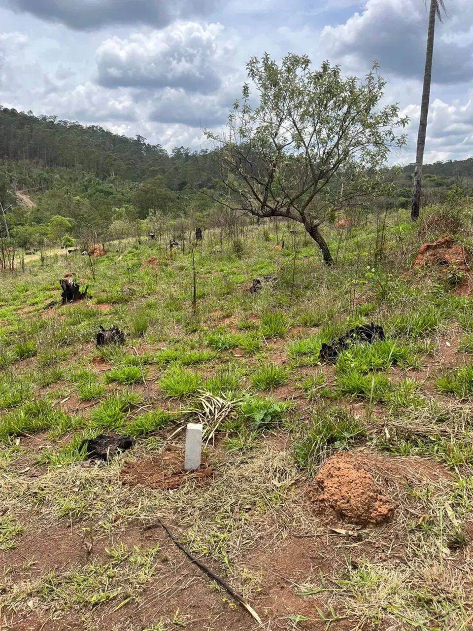 SAIA DO PAPEL E TENHA SUA CHÁCARA EM ATIBAIA - Foto 4